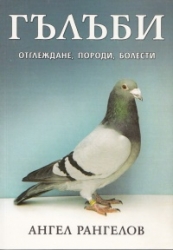 _________________4ffedc84c999b